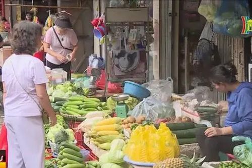 Hà Nội: Thực phẩm tươi sống dồi dào, rau xanh giảm giá