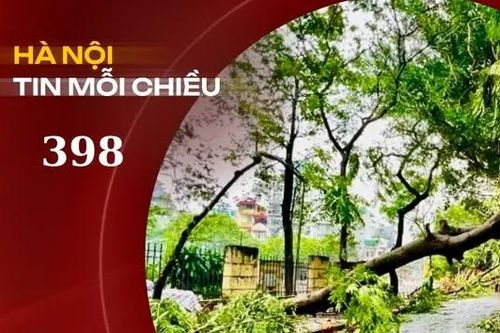 Hồi sinh cây xanh Hà Nội sau bão số 3 | Hà Nội tin mỗi chiều