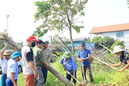 Hà Nội: Chung tay vì cảnh quan môi trường sạch đẹp sau bão số 3