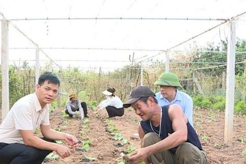 Phúc Thọ dồn lực cho vụ đông
