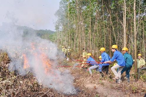 Nam giáo viên tử vong khi cùng người thân lên rừng đốt dọn thực bì