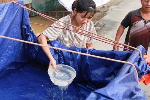 Những xô nước sạch 'tình làng nghĩa xóm' trong mùa lũ