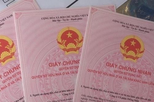 Mượn 'sổ đỏ' của người khác để vay tiền ngân hàng có phạm pháp?