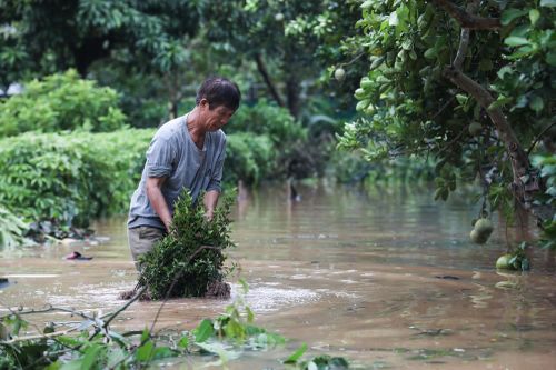 Bộ Y tế hướng dẫn xử lý nguồn nước sau bão
