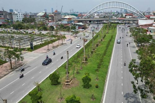 Hải Phòng đã phục hồi hơn 85% hệ thống cây xanh bị gãy đổ sau bão