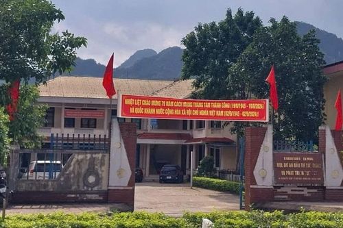 Quảng Bình: bắt cán bộ liên quan đến sai phạm trong dự án cây xanh