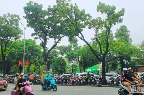 Hà Nội: Đổi mới vận hành dịch vụ gửi xe bằng công nghệ