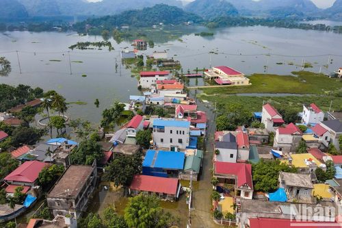 Miễn, giảm, gia hạn nộp thuế cho người nộp thuế bị thiệt hại bởi thiên tai
