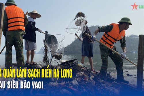 Ra quân làm sạch biển Hạ Long sau siêu bão Yagi