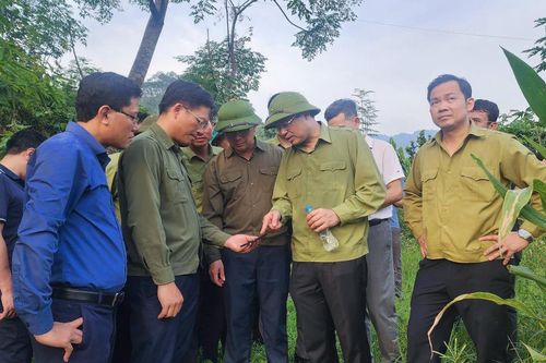 Khẩn trương giúp 'hồi sinh' Làng Nủ