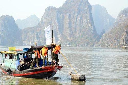 Quảng Ninh ra quân chiến dịch '3 ngày làm sạch Vịnh Hạ Long' sau bão số 3