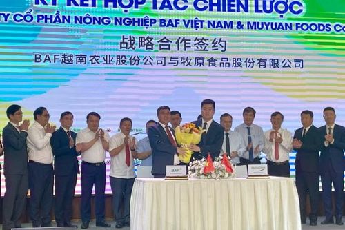 Nông nghiệp BAF hợp tác với Muyuan Foods ứng dụng công nghệ AI vào chăn nuôi