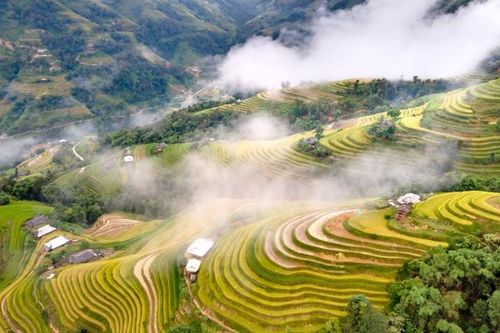 Dừng tổ chức Tuần Văn hóa du lịch 'Qua miền di sản ruộng bậc thang Hoàng Su Phì' năm 2024