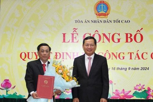 TANDTC trao quyết định bổ nhiệm Vụ trưởng Vụ Công tác phía Nam