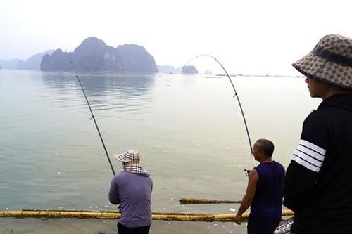 Nghề 'hot' sau bão ở Hạ Long, ngồi chơi cũng kiếm tiền triệu