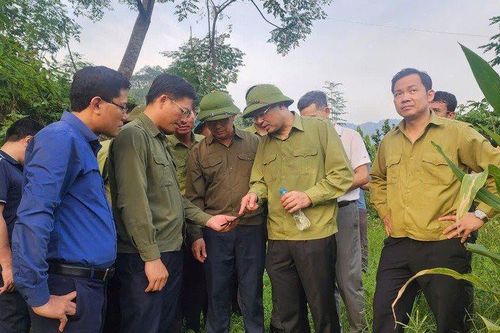 Làng Nủ an tâm chờ 'nơi tựa' mới