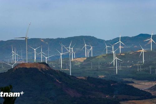 30 năm hành động bảo vệ tầng ozone: Việt Nam đạt được nhiều kết quả quan trọng