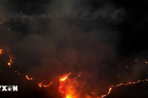 Brazil: 1.200 ha rừng ở ngoại ô thủ đô Brasilia bị cháy rụi