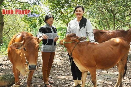 Bình Phước: Trao 'cần câu' để người nghèo phát triển kinh tế bền vững