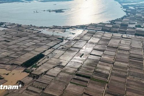 Lũ 'thổi bay' vựa rau lớn nhất Hà Nội, nhiều nơi chưa thể trồng lại dù nước rút