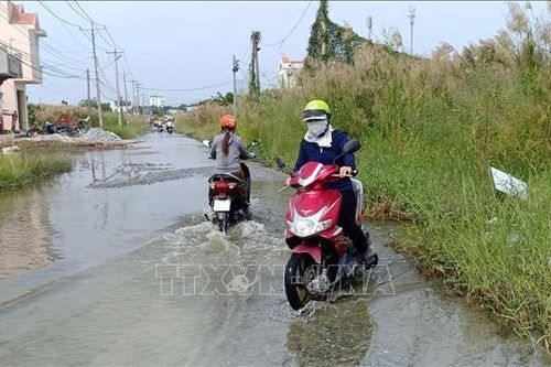Bạc Liêu: Triển khai các biện pháp ứng phó với triều cường, mưa kéo dài