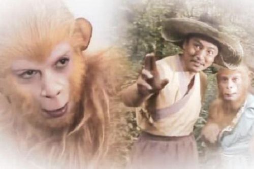 Người thầy Tôn Ngộ Không từng 'bỏ lỡ': Nếu bái sư sẽ mạnh hơn cả Phật Tổ Như Lai