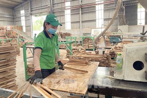 Đồng Nai đặt mục tiêu xuất khẩu lâm sản đạt 2,5 tỷ USD