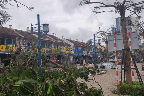 Bài học từ bão Yagi: Bảo hiểm tài sản và 'tấm khiên' bảo vệ doanh nghiệp