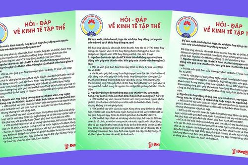 Để sản xuất, kinh doanh, hợp tác xã được huy động các nguồn vốn nào và cách thức huy động ra sao?