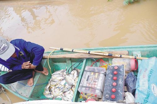 Kiên quyết xử lý đối tượng sử dụng xung điện để bắt cá trái phép