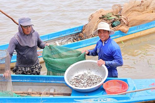 Người dân thượng nguồn tất bật mưu sinh mùa nước nổi