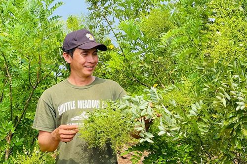 Chư Sê đẩy mạnh sản xuất nông nghiệp theo tiêu chuẩn VietGAP