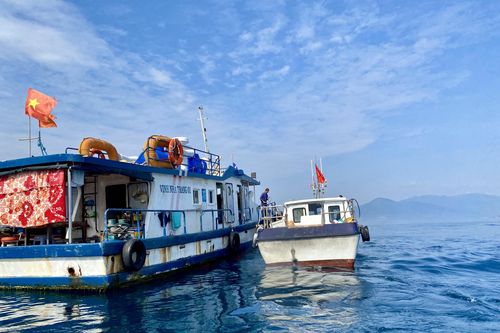 Kiện toàn tổ chức Ban Quản lý vịnh Nha Trang: Để thực hiện tốt hơn công tác phục hồi vịnh Nha Trang