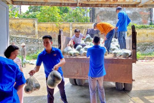Nhiệt điện Phả Lại hỗ trợ bà con nông dân tại Chí Linh tiêu thụ 4 tấn dưa hấu