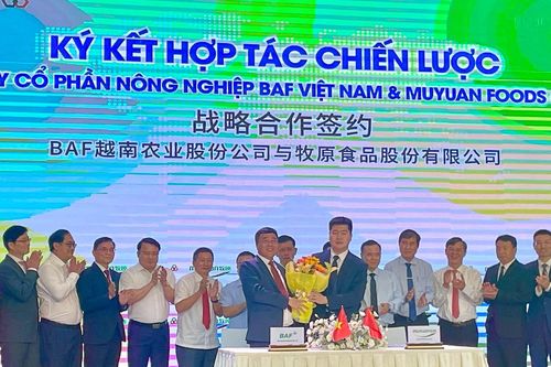 BaF Việt Nam (BAF) bắt tay với 'gã khổng lồ' Trung Quốc, tham vọng nâng quy mô đàn gấp 12 lần