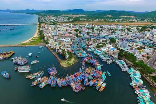 Kiên Giang: Nhiều điểm sáng xuất nhập khẩu 8 tháng đầu năm