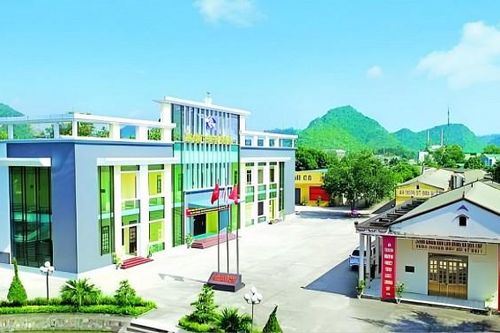 Sẽ đình chỉ kiểm toán viên UHY liên quan đến báo cáo tài chính 2023 của AAT