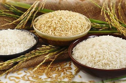 Nhà cung cấp gạo lớn nhất thế giới nới lỏng xuất khẩu: Giá gạo toàn cầu sẽ 'hạ nhiệt', gạo Việt có bị ảnh hưởng?