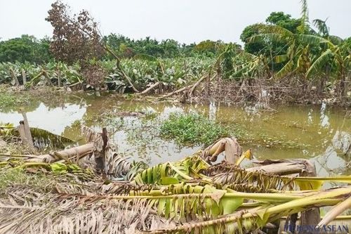 Thành phố Hưng Yên ước thiệt hại sau bão lũ gần 450 tỷ đồng