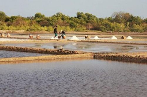 TP. Hồ Chí Minh khuyến khích đầu tư phát triển du lịch nông nghiệp