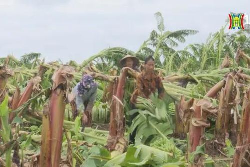 Thiệt hại do bão số 3 ước kéo giảm khoảng 0,15% GDP