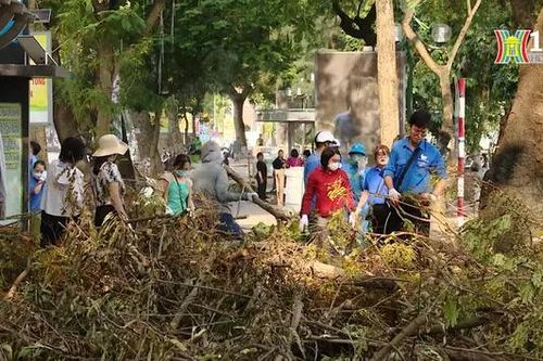 Hà Nội tổng lực dọn cây đổ trong 2 ngày cuối tuần
