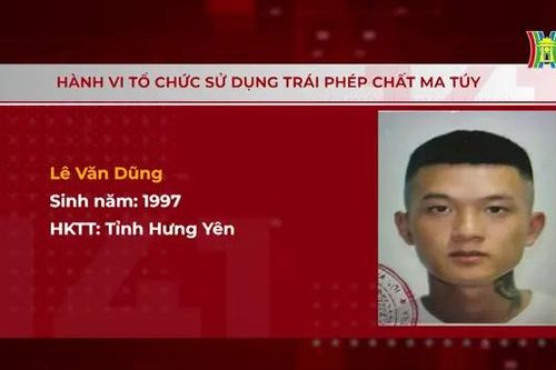 Truy nã đối tượng sử dụng trái phép chất ma túy