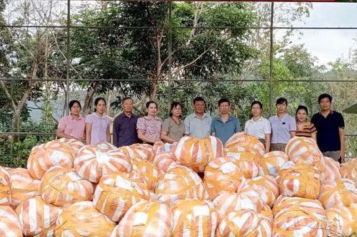 Trao 250 suất quà cho trẻ em bị ảnh hưởng bão số 3 tại xã Ca Thành (Nguyên Bình)