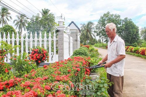 Cựu chiến binh tham gia xây dựng nông thôn mới