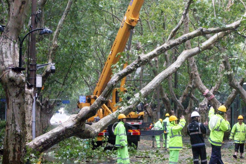 Bão Bebinca quật đổ hơn 10.000 cây xanh ở Thượng Hải