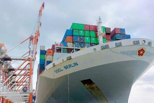 Cảng Tân Cảng - Cái Mép Thị Vải hoàn thành kế hoạch năm 2024