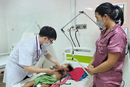 Viêm não Nhật Bản: Nguyên nhân, triệu chứng, cách điều trị và phòng bệnh