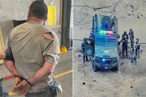Hầu tòa vì bắn chết vật nuôi nhà hàng xóm