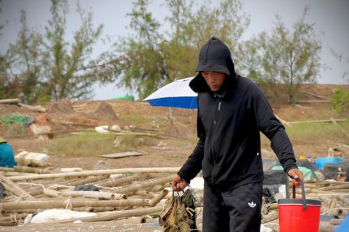 Quảng Ninh: Người dân đổ xô đi câu cá sau bão